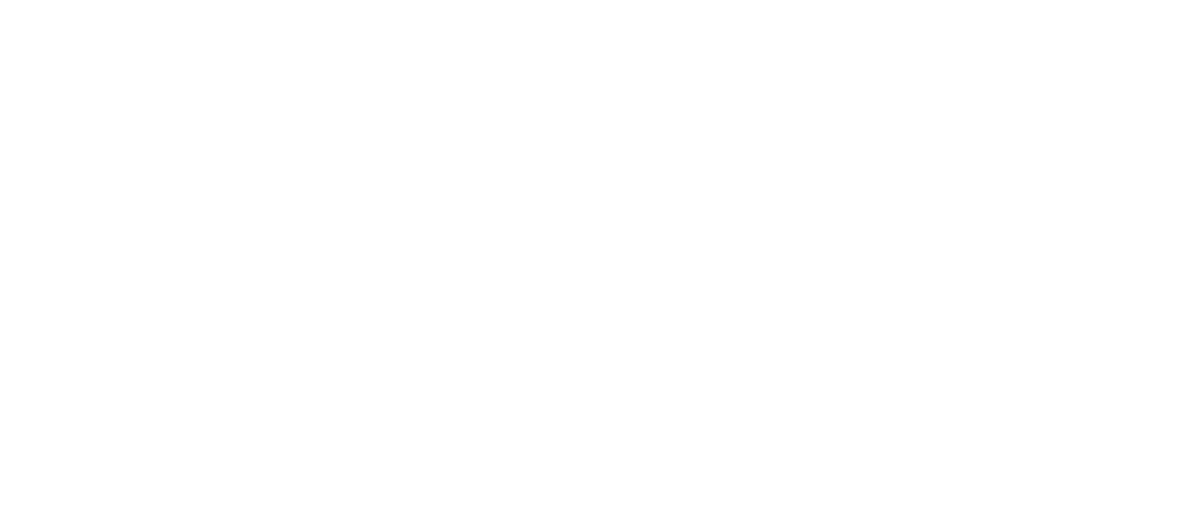 Bluey x Garvalín